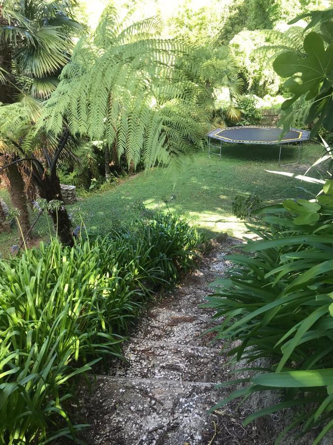 Paradise In Picton Exterior foto